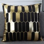 coussin velours luxe