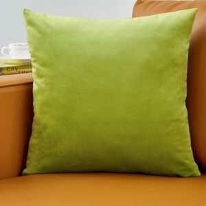 Coussin kaki velours