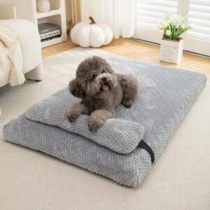 Coussin lit chien avec oreiller